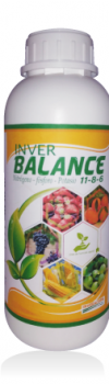 INVER-BALANCE-11-8-6-1LT