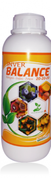 INVER-BALANCE-20-20-20-1LT