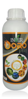 INVER-BORO-1LT