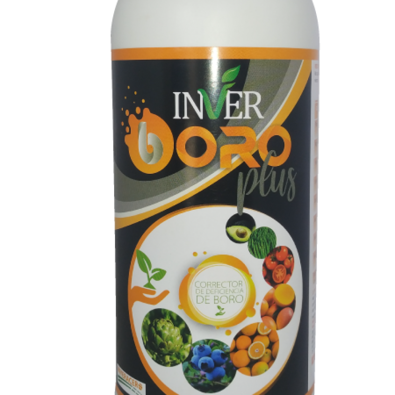 INVER-BORO-PLUS