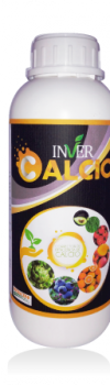 INVER-CALCIO-1T