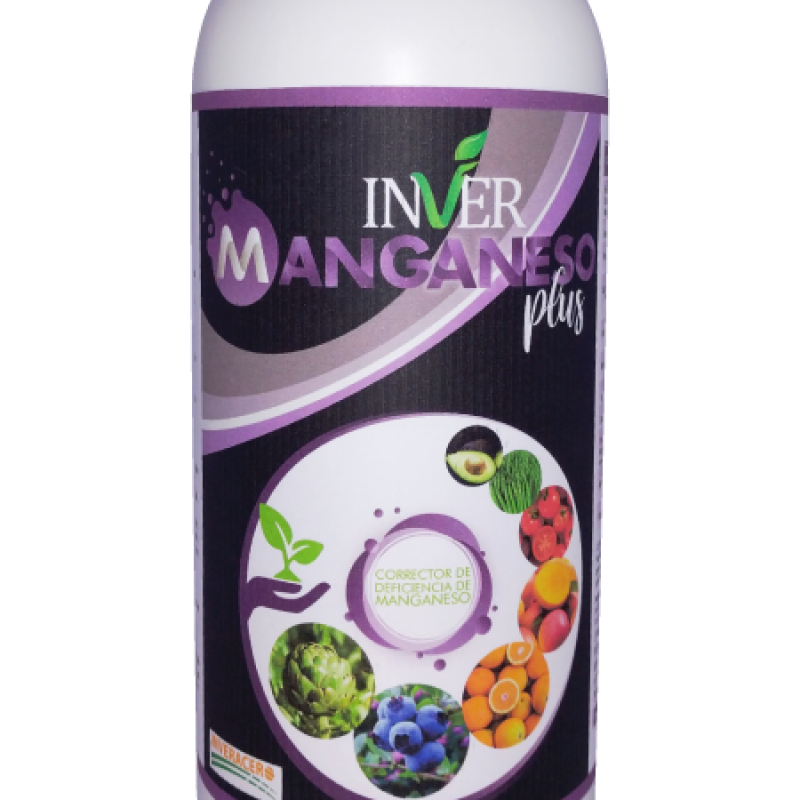 INVER-MAGANESO