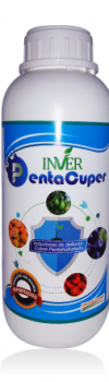 INVER-PENTA-CUPER-1LT