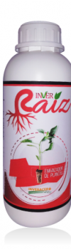 INVER-RAIZ